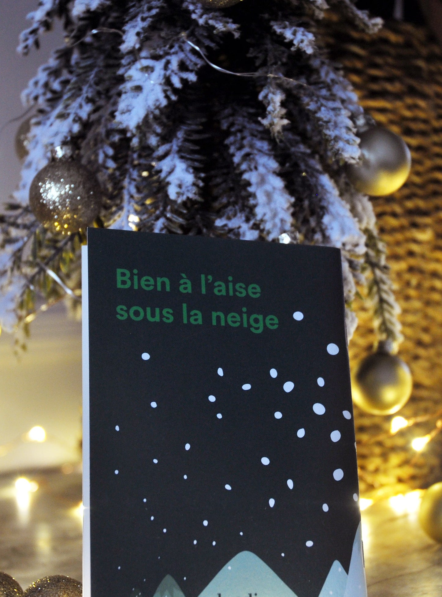 CARNET - BIEN À L'AISE SOUS LA NEIGE