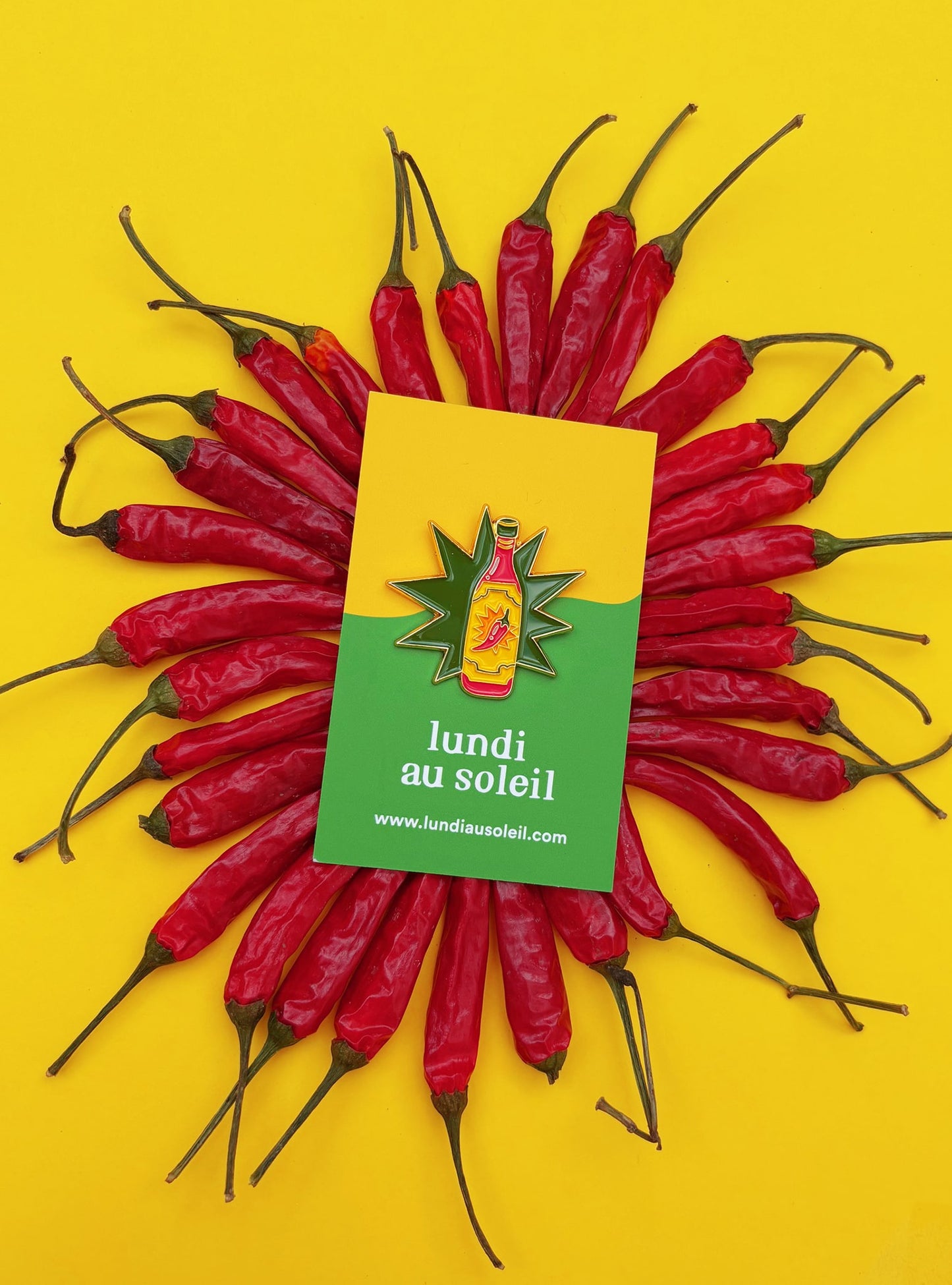 PIN'S - HOT SALSA